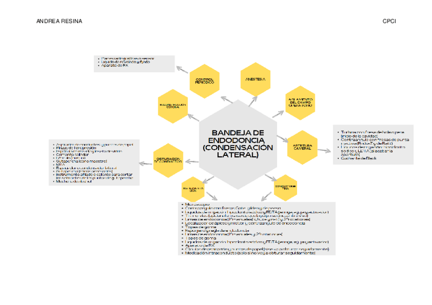 Miniatura del documento BANDEJA-DE-ENDODONCIA.pdf