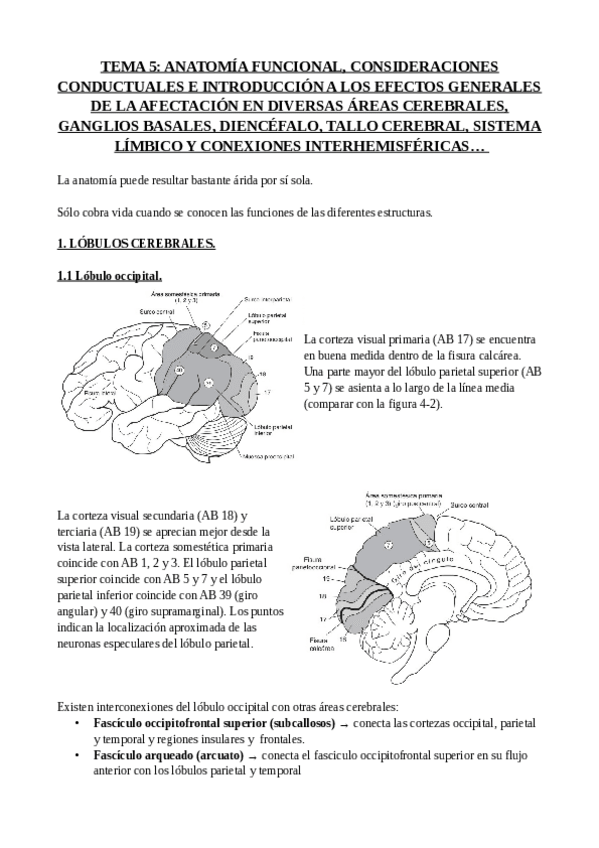 Miniatura del documento TEMA-5.pdf