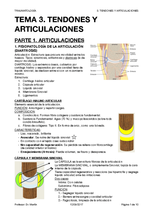 Miniatura del documento TRAUMA T3.pdf