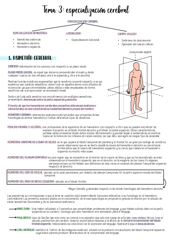 Miniatura del documento NIVELES-T3.pdf