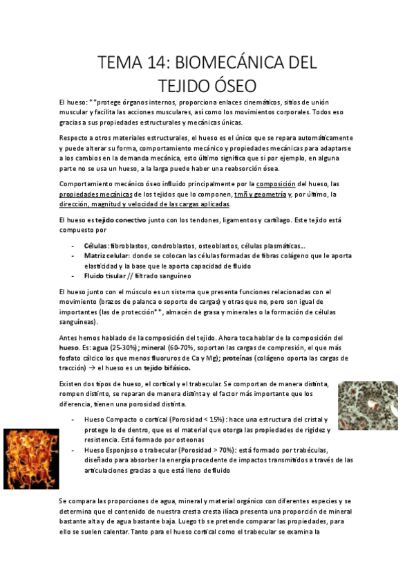 Miniatura del documento Teoría Biomecánica 2Parcial.pdf