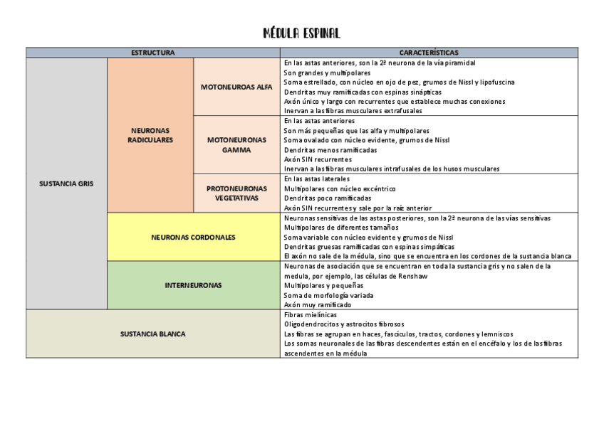 Miniatura del documento TABLAS-RESUMEN-SISTEMA-NERVIOSO-HISTOLOGIA.pdf
