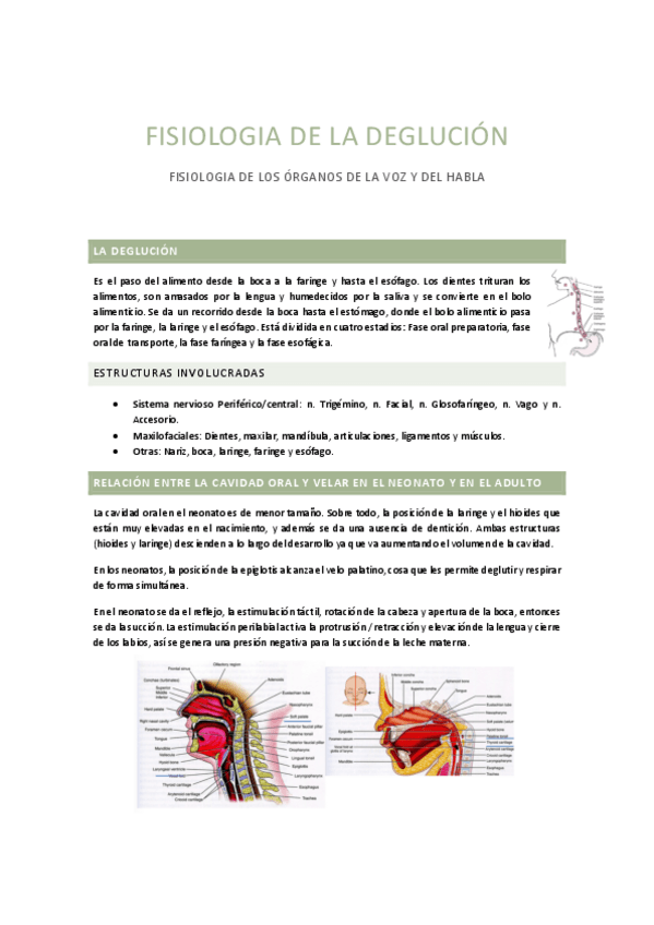 Miniatura del documento Fisiologia-de-la-deglucion.pdf