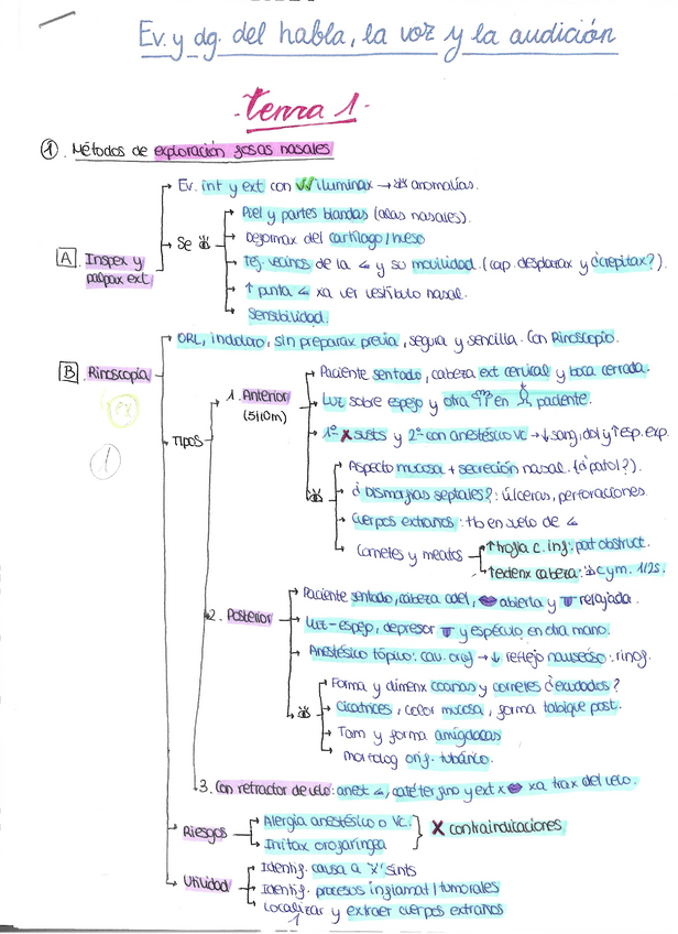 Miniatura del documento Esquemas-Ev.-y-Diagn.-del-habla-la-voz-y-la-audicion.pdf