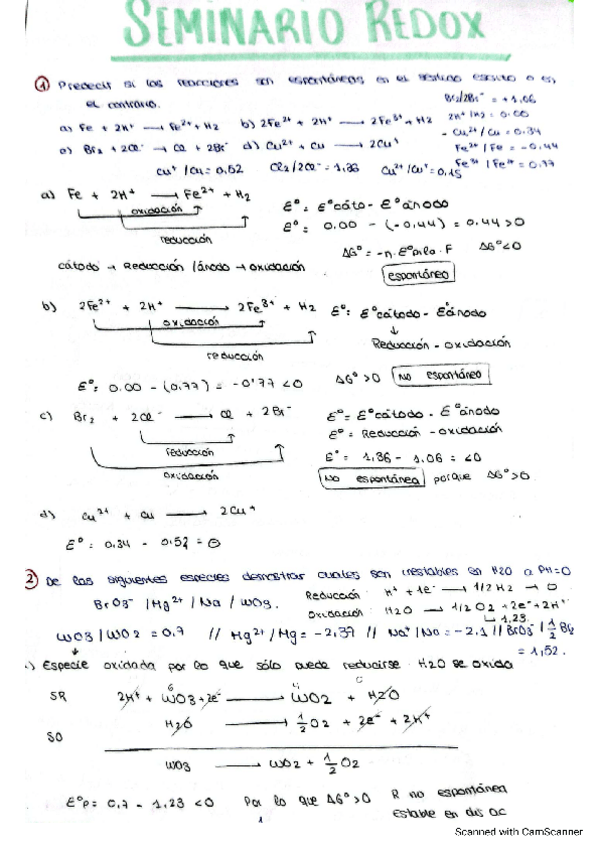 Miniatura del documento seminario-redox.pdf