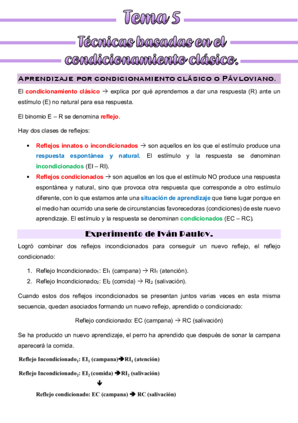 Miniatura del documento Apuntes-Tema-5-habilidades-terapeuticas.pdf