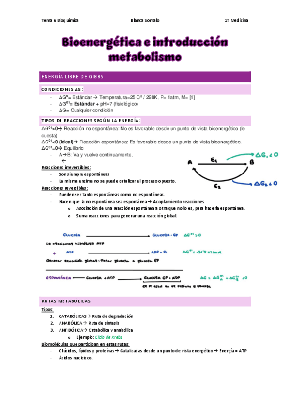 Miniatura del documento Tema-6-BioenergeticaBioquimicaBlancaSomalo.pdf