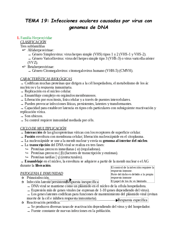 Miniatura del documento TEMA-19.pdf
