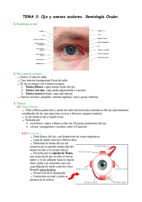 Miniatura del documento TEMA-3.pdf