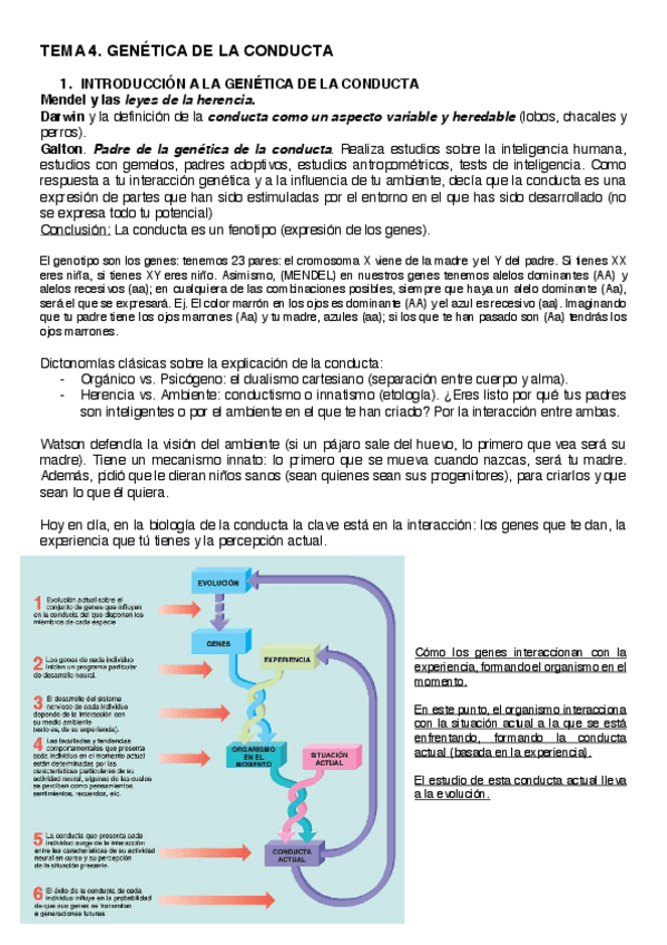 Miniatura del documento TEMA 4.pdf
