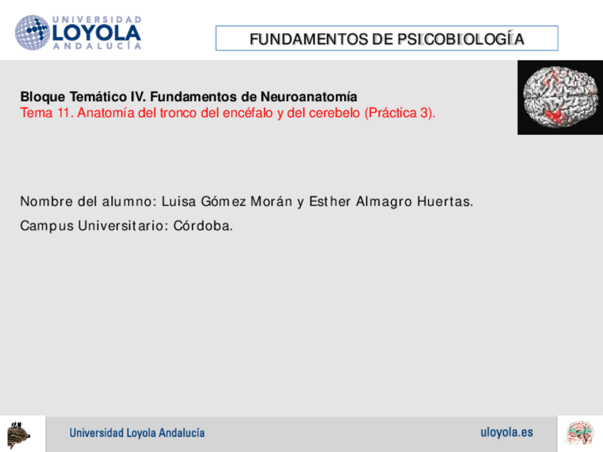 Miniatura del documento PRACTICA 3.pdf