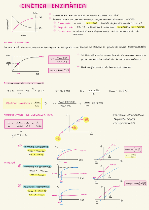 Miniatura del documento Resum-Cinetica-Enzimatica-1.jpeg