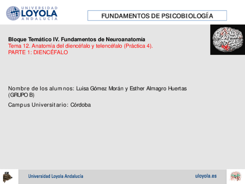 Miniatura del documento PRACTICA 4.pdf