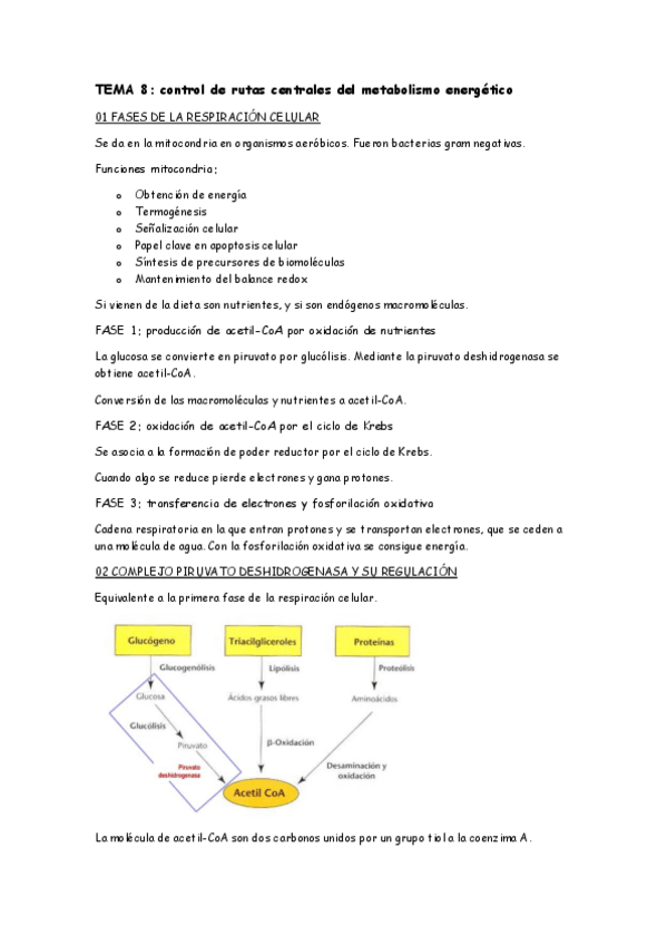 Miniatura del documento BT8.pdf