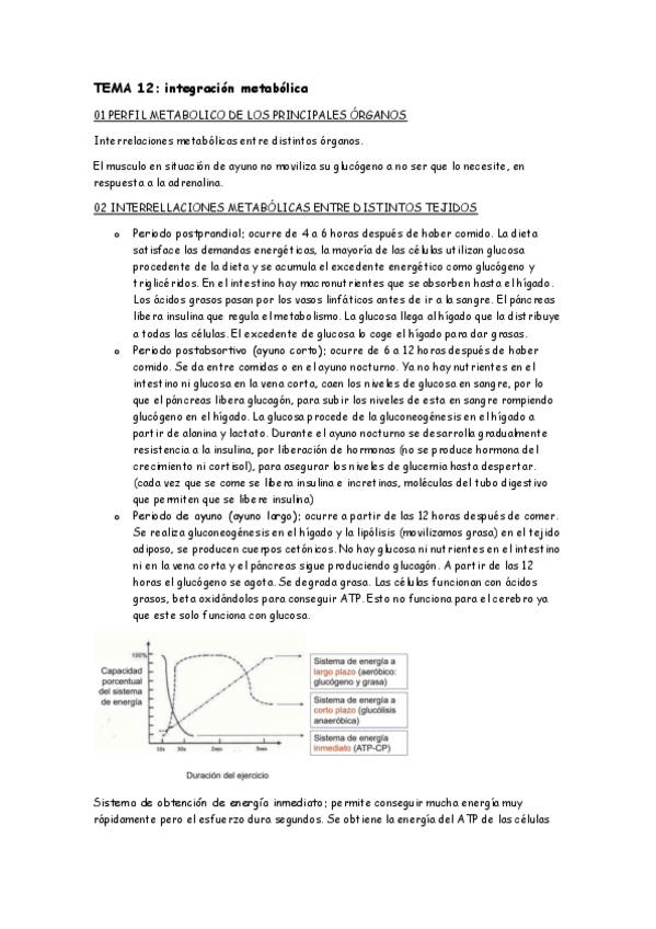Miniatura del documento BT12.pdf