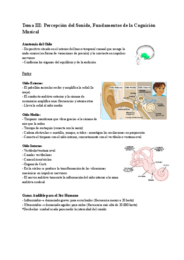 Miniatura del documento Tema-III-Percepcion-del-Sonido-Fundamentos-de-la-Cognicion-Musical.pdf
