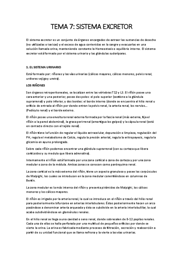 Miniatura del documento Tema-7-Sistema-excretor.pdf