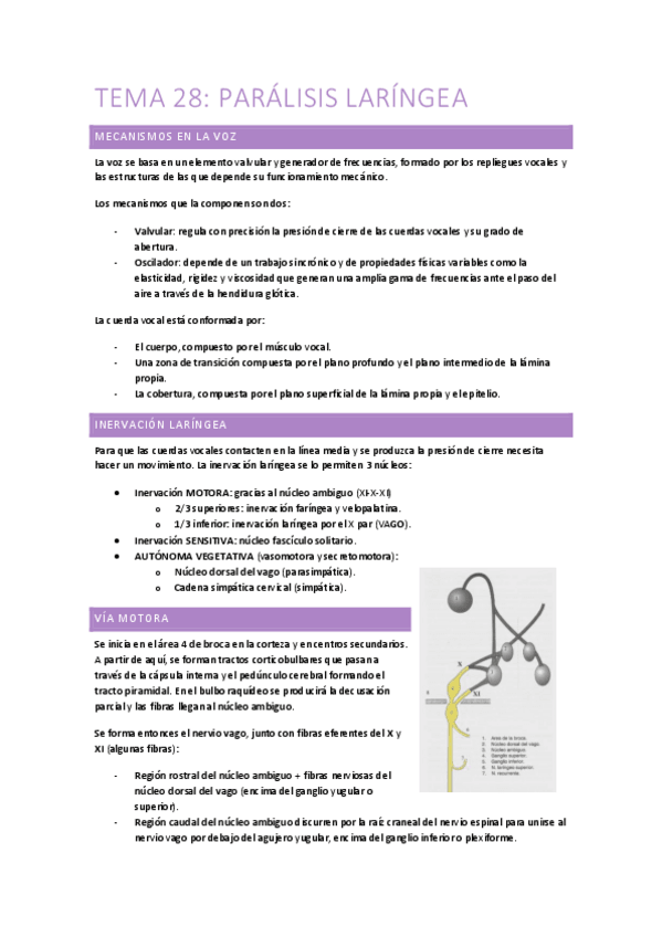 Miniatura del documento 28.-Paralisis-laringeas.pdf