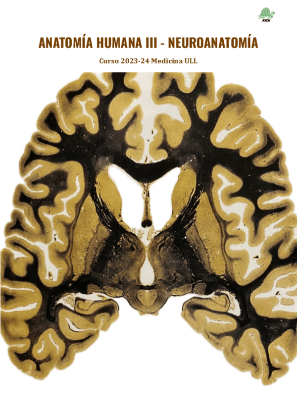 Miniatura del documento AYCA-ANATOMIA-HUMANA-III.pdf