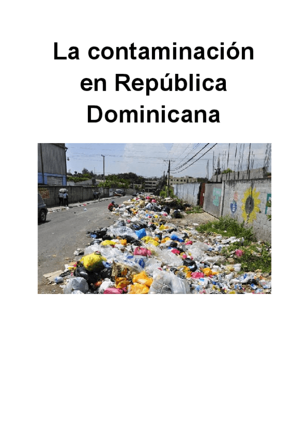 Miniatura del documento La-contaminacion-en-Republica-Dominicana-1.pdf