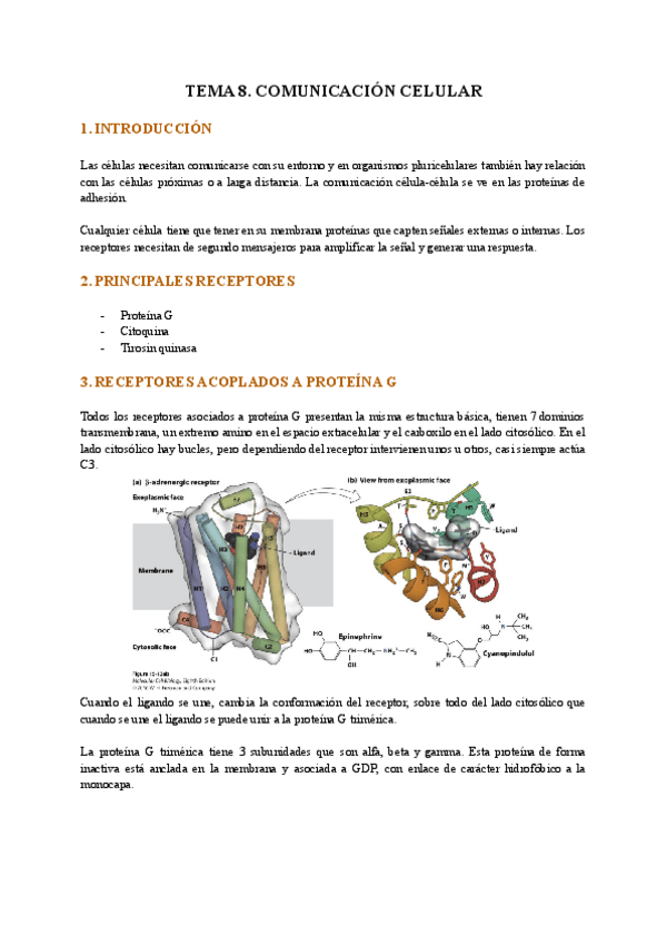 Miniatura del documento Tema-8.-Bc-Av.pdf