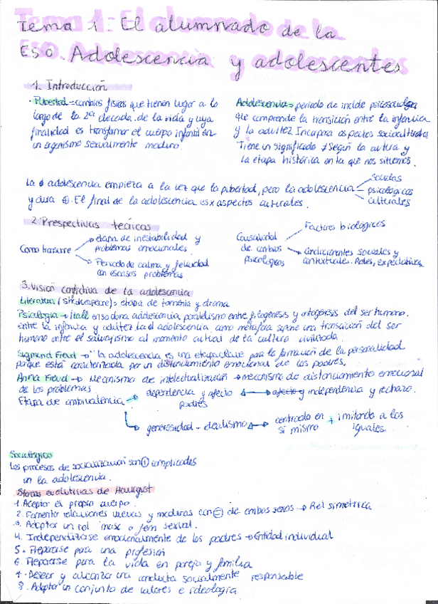 Miniatura del documento Tema-1El-alumnado-de-la-Eso-Adolescencia-y-Adolescentes.pdf