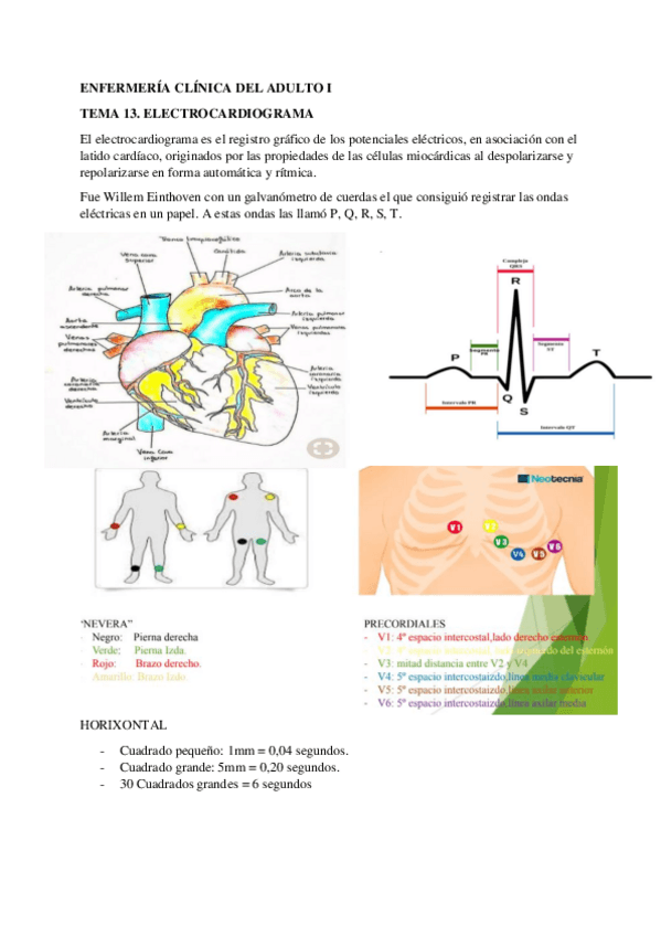 Miniatura del documento ELECTROCARDIOGRAMA.pdf
