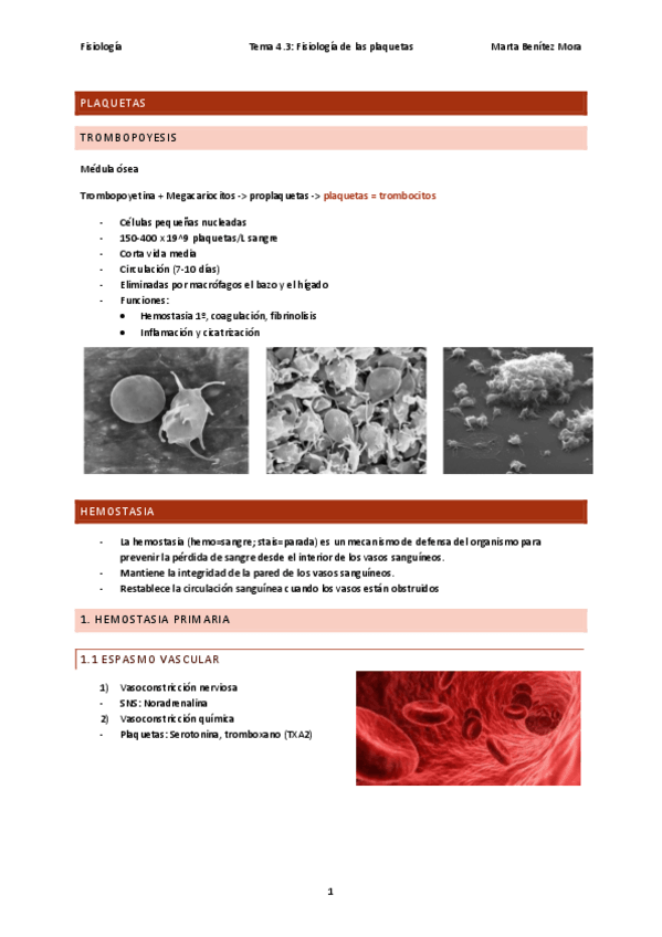Miniatura del documento Fisiologia-tema-4.3.pdf