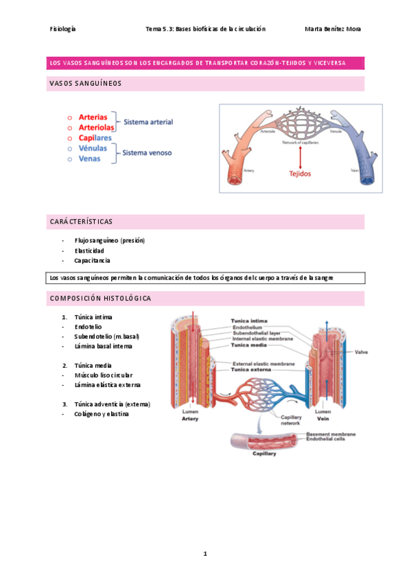 Miniatura del documento Fisiologia-tema-5.3.pdf