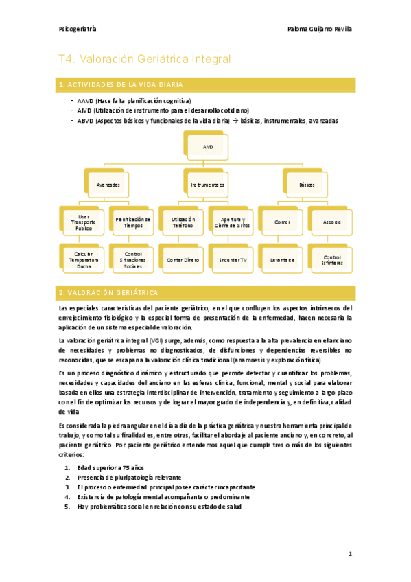 Miniatura del documento T4.-Valoracion-Geriatrica-Integral.pdf