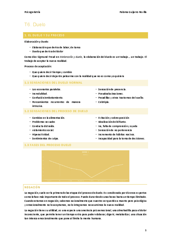 Miniatura del documento T6.-Duelo.pdf