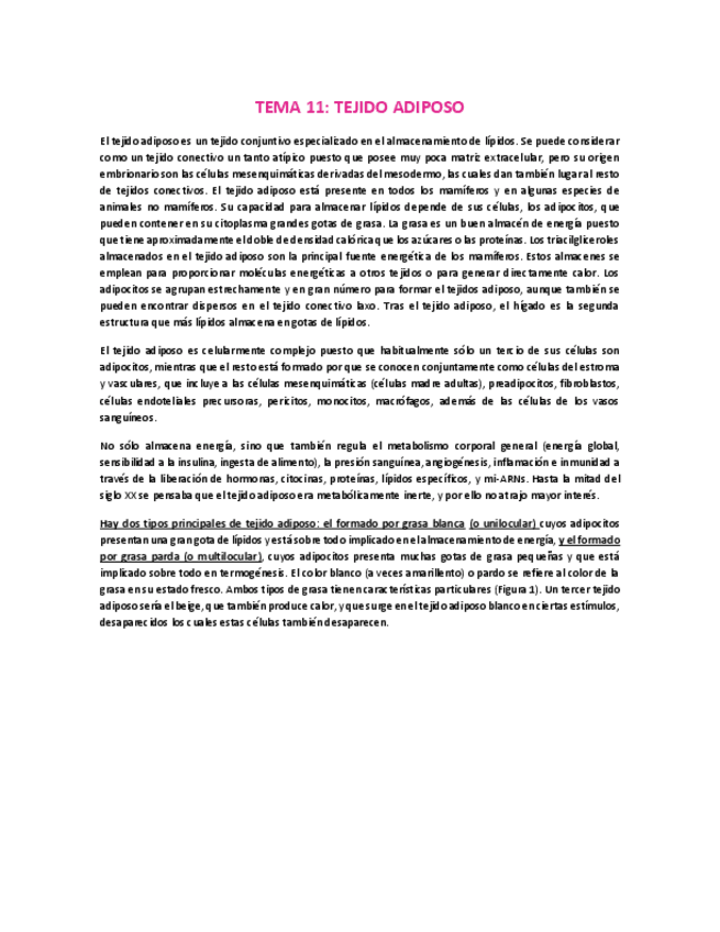 Miniatura del documento TEMA-11-TEJIDO-ADIPOSO.pdf