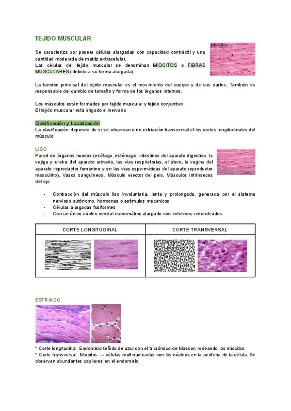 Miniatura del documento TEJIDO-MUSCULAR.pdf