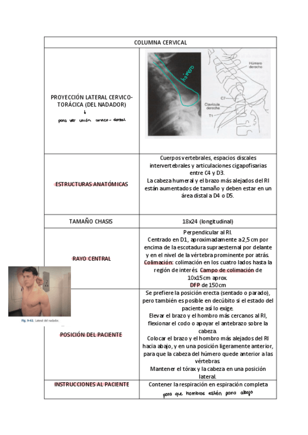 Miniatura del documento RS.-MARIO-Proyecciones-cervicales-y-tema-dorsales.pdf