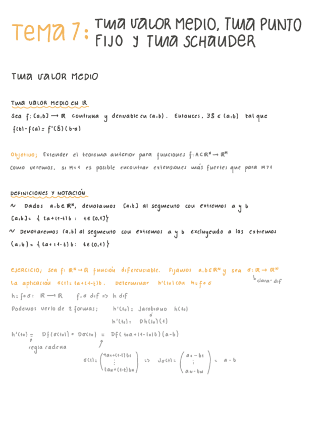 Miniatura del documento T7.-Teoremas-valor-medio-punto-fijo-Schauder.pdf