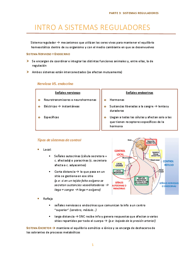 Miniatura del documento Sistema-Nervioso-hasta-sinapsis.pdf