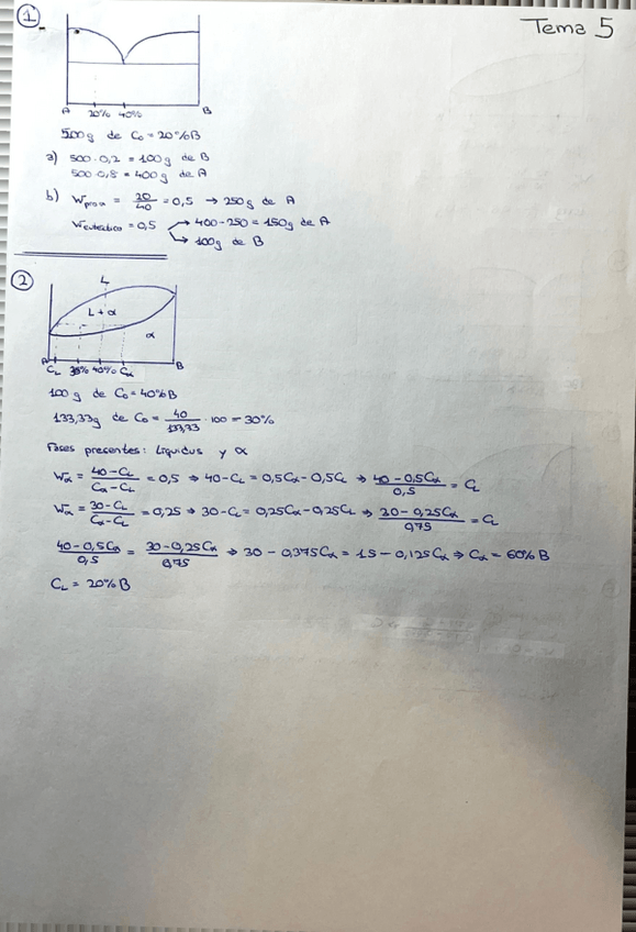 Miniatura del documento Tema-5-hojas-b.pdf