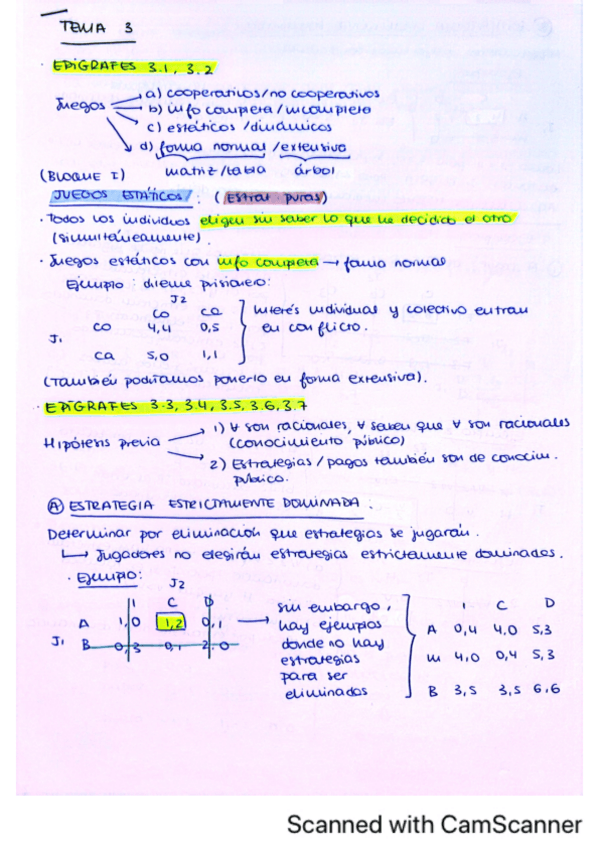 Miniatura del documento APUNTES INCERTIDUMBRE.pdf