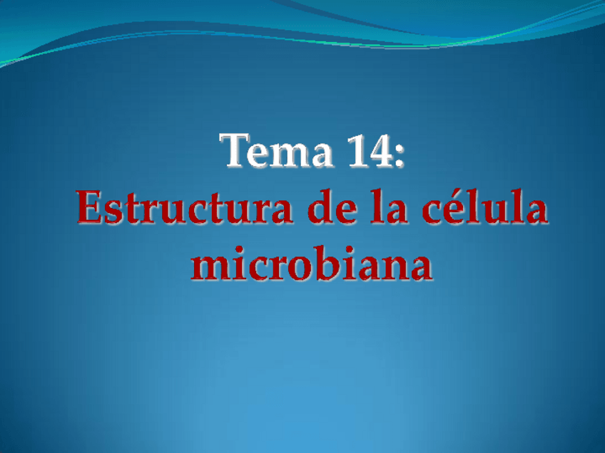 Miniatura del documento Tema 14.pdf