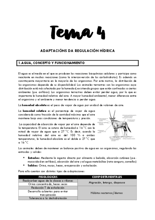 Miniatura del documento Tema-45.pdf