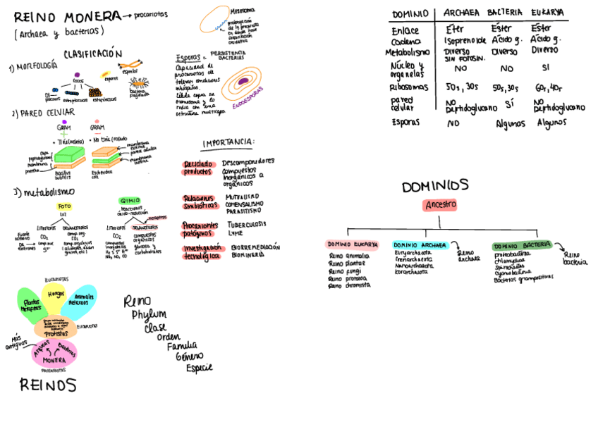 Miniatura del documento REINO-MONERA.pdf