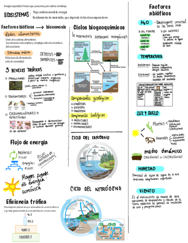 Miniatura del documento ECOSISTEMAS.pdf