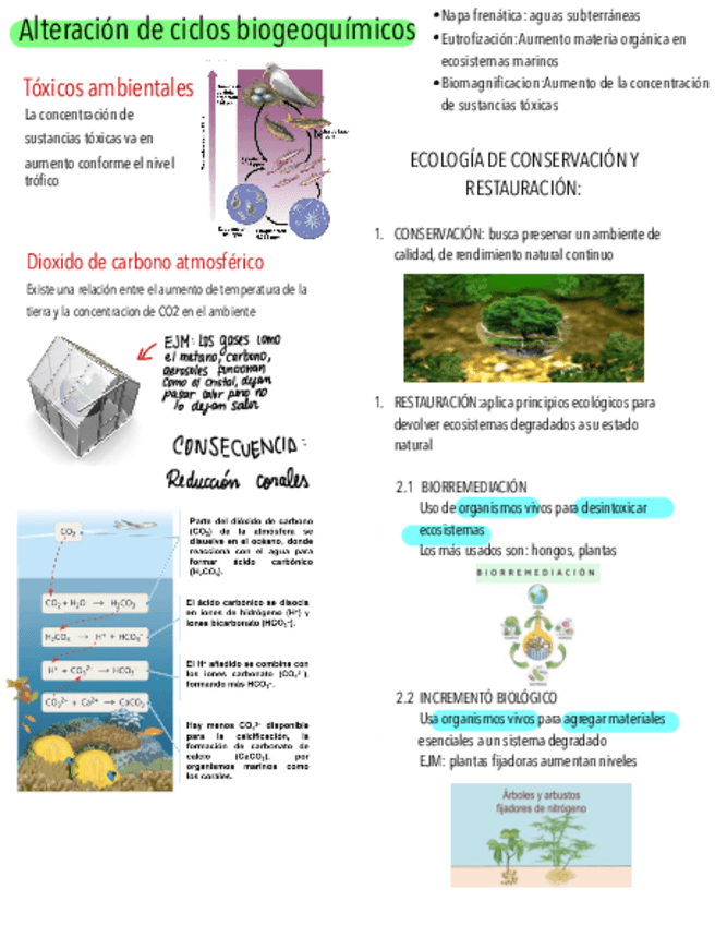 Miniatura del documento CICLOS-BIOGEOQUIMICOS.pdf