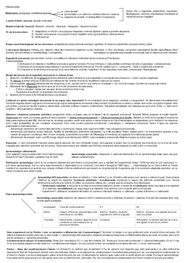 Miniatura del documento Resum-psicologia.pdf