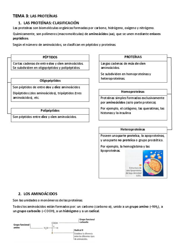 Miniatura del documento BIOLOGIA-TEMA-3-LAS-PROTEINAS.pdf