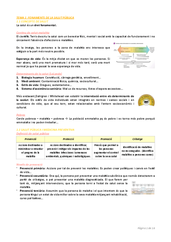 Miniatura del documento TOT-salut.pdf
