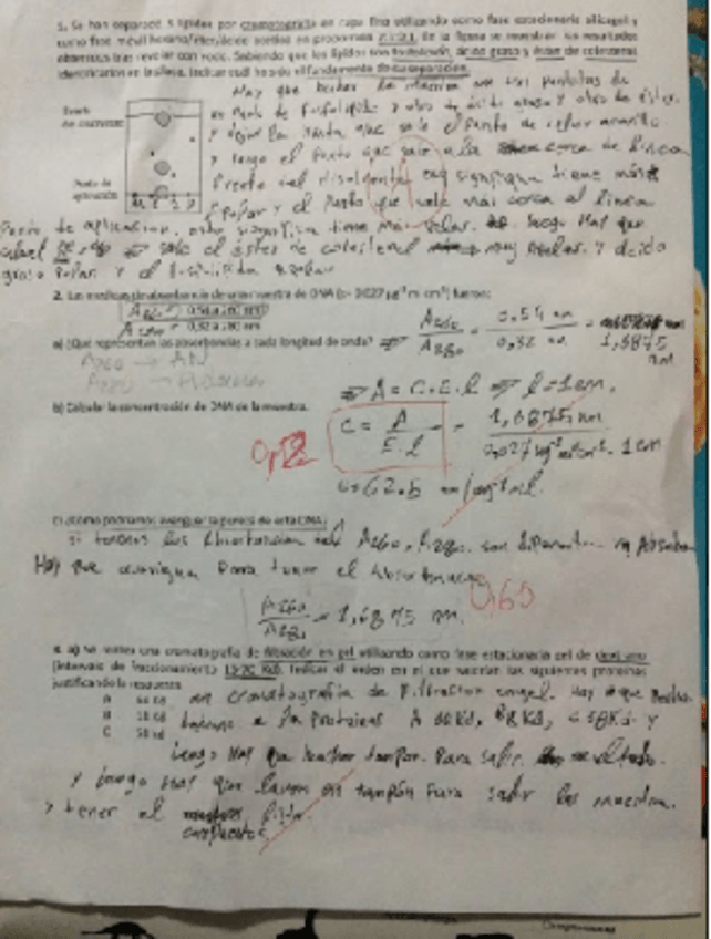 Miniatura del documento jpg2pdf.pdf