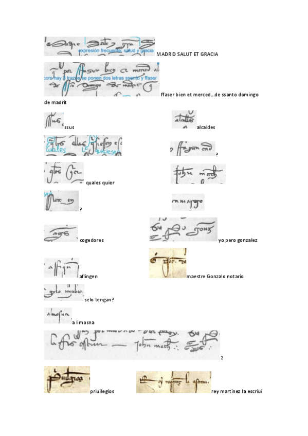Miniatura del documento Frases-y-palabras-comunes-transcritas.pdf