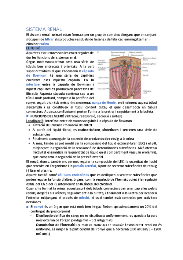 Miniatura del documento Fisiologia-renal.pdf
