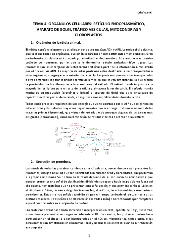Miniatura del documento TEMA-4.-BIOLOGIA.pdf